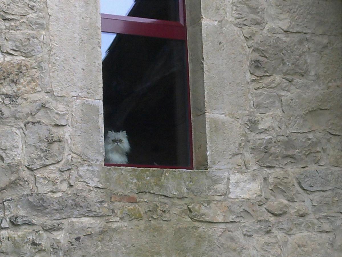 Pigeonnier-four A Pain Holiday home *